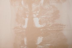 ткань атлас телесного цвета с принтом тени деревьев атлас шелк иные бежевая Италия